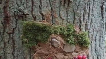 neue arbeit Altenkirchen - Westerwald