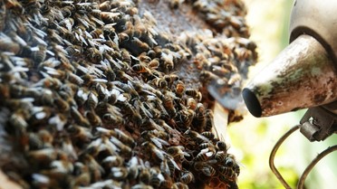 neue arbeit Altenkirchen - Westerwald