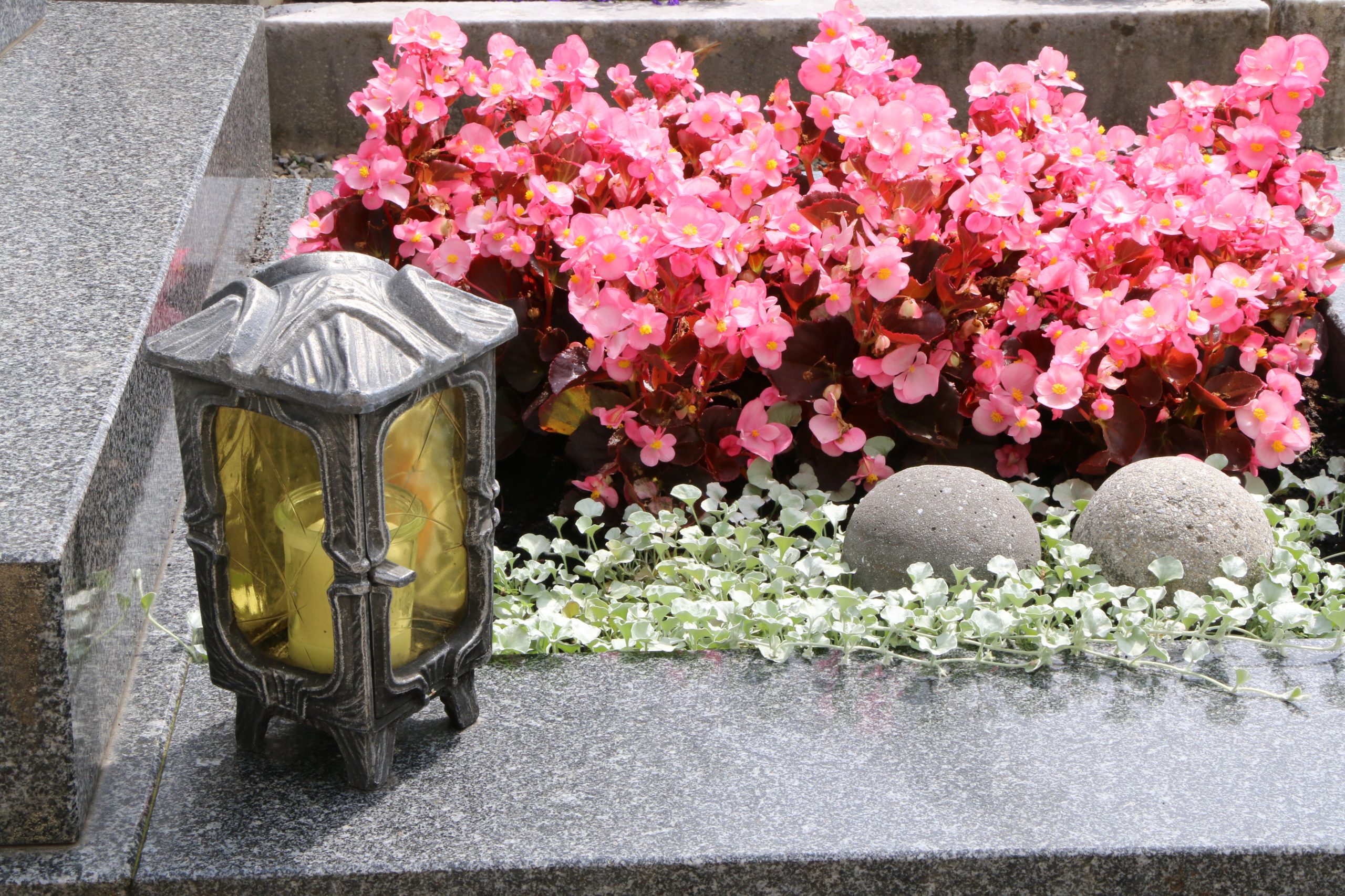 Am Friedhof, Grabbepflanzung mit roten Begonien, Tod, Sterben, Lebensende, Todesursache, Grabpflege