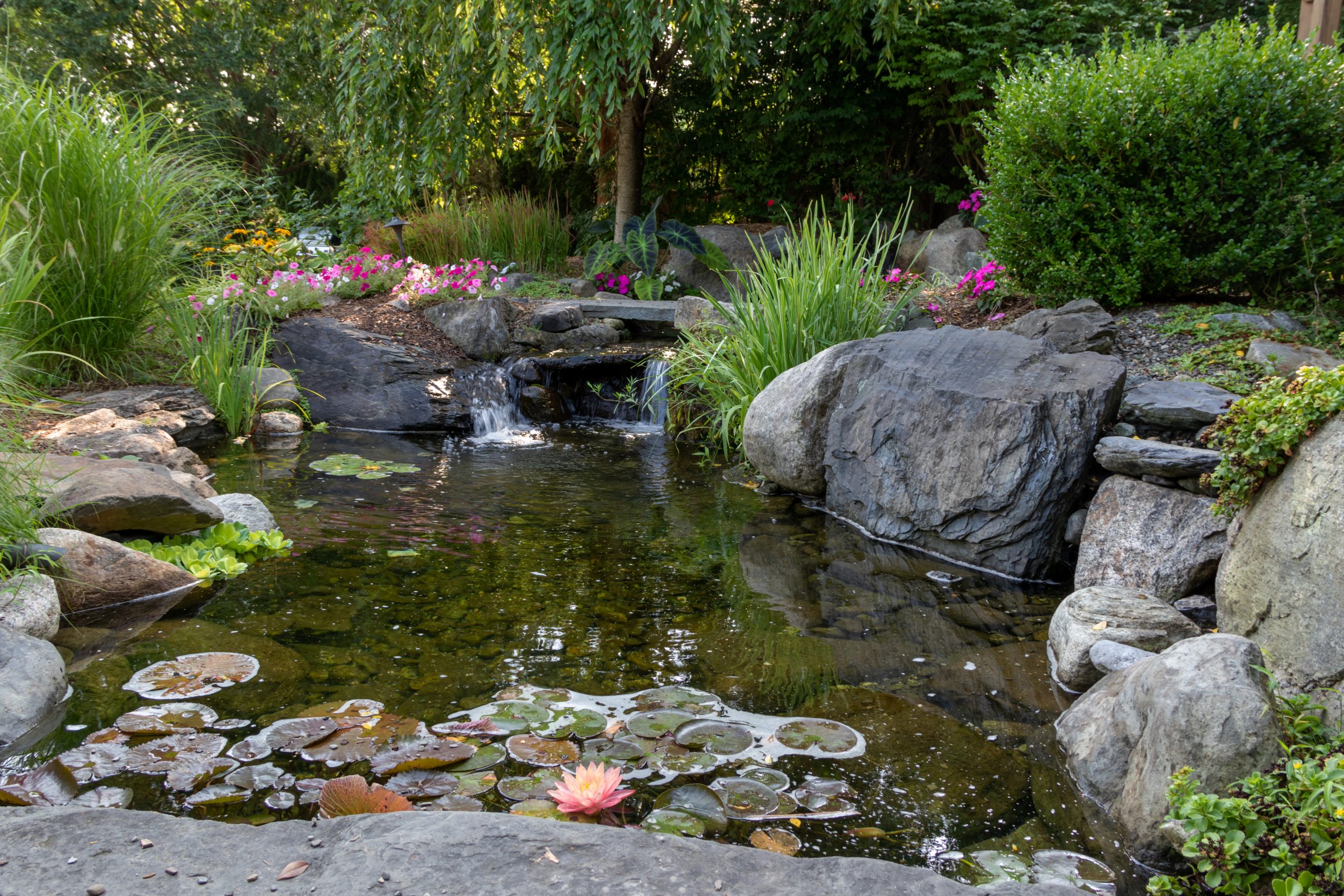 Landscape architecture for spring and summer garden featuring Koi Pond and Gazebo